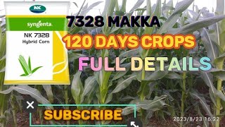 7328 makka full details  in this video #farming #7328 #agriculture #maizefarming #makka