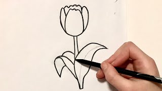 КАК НАРИСОВАТЬ ТЮЛЬПАН | Как НАРИСОВАТЬ ЦВЕТОК Уроки  рисования Простые домашние рисунки карандашом
