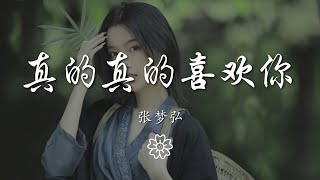 張夢弘 - 真的真的喜歡你『我真的真的喜歡有你陪在我身旁』【動態歌詞Lyrics】