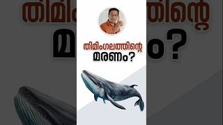 ഒരു വലിയ മരണം? The Impact Of A Blue Whale's Death: A Motivational Malayalam Video