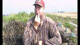 Appeau Duck commander pour chasse limicoles et canards