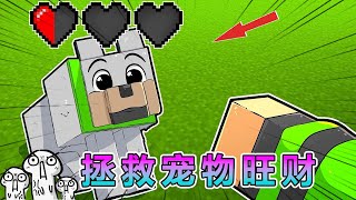 我的世界：拯救宠物狗旺财 #我的世界 #minecraft