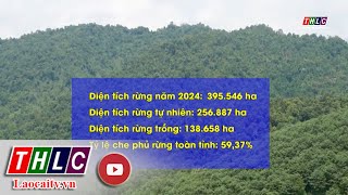 Công bố hiện trạng rừng tỉnh Lào Cai năm 2024 | THLC