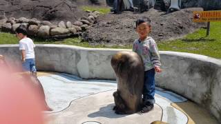 1060408鼎赫倆寶~木柵動物園(10)(4)