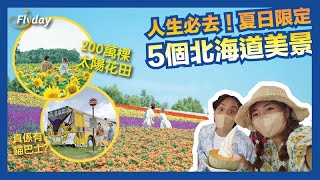 北海道夏日5個人生必看景色｜2022日本旅遊｜北竜町太陽花之里、FERME LA TERRE BIEI、拼布之路、四季彩之丘、日之出公園、戶外炉峠貓巴士｜Flyday HK