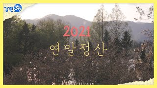 [강원365]2021 강원365 연말결산 \u0026 최신 근황