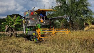 มาดูรถเกี่ยวสัปเหร่อหน่อยเกี่ยวคล่องไหม Combined Harvester