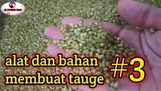 Main ke tempat pabrik tauge, ini alat dan bahan membuat tauge #3