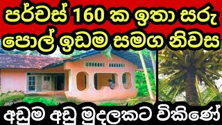 පර්චස් 160 ක පොල් ඉඩම හා නිවස හිතාගන්න බැරි තරම් අඩුවට| House for sale | Land for sale| Aduwata idam