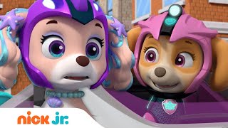 PAW Patrol Coral's Race to the Finish Line! w/ Skye, Chase & Rubble | Nick Jr.