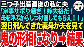 初産で三つ子を出産した私に夫「家事をサボりやがって！母を呼んでしつけ直してもらう！」➡︎数日後、義母が怒りの表情でやってきて