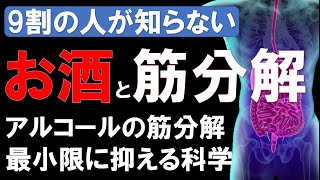 【筋トレ科学】アルコールと筋分解　~アルコールの筋分解を最小限に抑える方法~