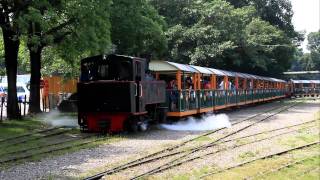 烏樹林糖廠 觀光五分車 蒸氣火車 開車篇01