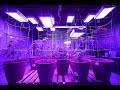 Discovering the Power of the Koscheal 2000W LED Grow Light: Unboxing and Demo