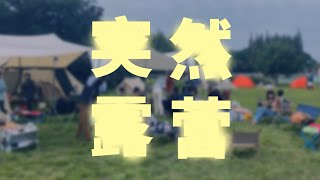 上海露营 vlog 多款 Glamping 帐篷看到了实物