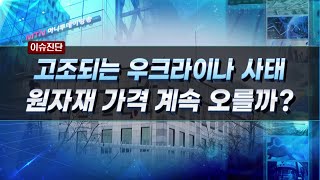 [이슈진단]우크라이나 사태 악화시 화장품· 자동차부품 타격?  / 머니투데이방송 (증시, 증권)