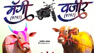 ✌️पठारवाडी फायनल:-1)मॅगी आणि वजीर 2)केसरी आणि सिंघम 3)रायफल आणि सुंदर 4)सोनु पठारे5) हारण्या 6)चण्या