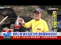 猴群山豬「搶先採收」作物 發射驅猴炮成效好