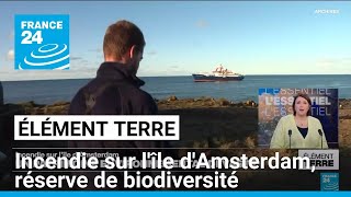 Incendie sur l'île d'Amsterdam: un trésor de biodiversité dévasté • FRANCE 24