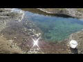 let s scoop up the small fish in the tide pool