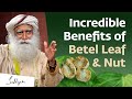 Incredible Benefits of Betel Leaf & Nut | Sadhguru