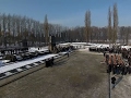 Raw: Survivors Mark Holocaust Remembrance