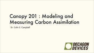 Canopy 201: Modeling and Measuring Carbon Assimilation by Plants