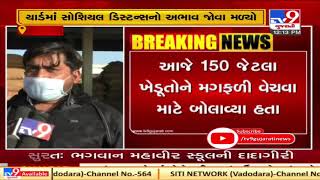 Process of procuring groundnut at MSP resumes at Dhoraji marketing yard in Rajkot | TV9News