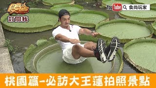 【桃園】必訪拍照打卡景點 「康莊蓮園」乘坐大王蓮，體驗水上漂！食尚玩家