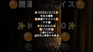 2025年2月2日の運勢 #開運アドバイス #マヤ暦  #運勢  #黒KIN　#210 #20250202 #ｼﾝｸﾛ #白い犬　#赤い月 #音2 #第5の城 #shorts #ゾロ目