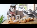 Making of a Wood Carved Shiba @ Bespecial Wood Carving & Woodcraft