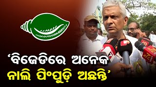 କାହାକୁ ନାଲି ପିମ୍ପୁଡ଼ି କହିଲେ ତଥାଗତ ? | Odisha Reporter