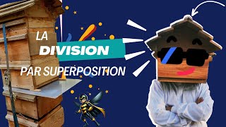 How to make a division by superposition in a Warré hive? New technique