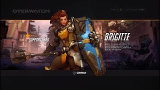 Brigitte Introduction