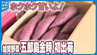 【品質良好】ホクホク甘いよ！加賀野菜「五郎島金時」2.5トン初出荷