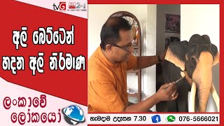 අලි බෙටි වලින් අලි නිර්මාණය - Elephant Dummy #tvderana #lokayasahalokayo #elephant