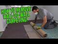 How To Remove Wall-To-Wall Carpeting. EASY DIY DEMO JOB!!!