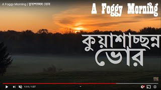 A Foggy Morning | কুয়াশাচ্ছন্ন ভোর