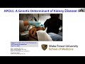 APOL1: A Genetic Determinant of Kidney Disease