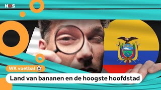 Alles over Ecuador: de volgende tegenstander van Oranje