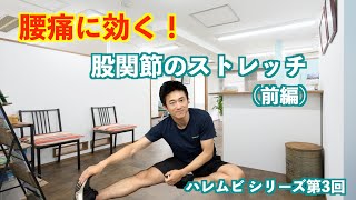 腰痛に効く！股関節のストレッチ（前編）【関内駅から徒歩30秒のハレルヤカイロプラクティック】上大岡 桜木町