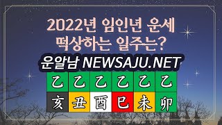 사주팔자 2022년 임인년 을목일간 을축 을묘 을사 을미 을유 을해 일주 대박운, 조심해야할점, 사업운, 재물운, 직장운,연애운 간단하게 정리