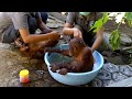 oscarina and tulip enjoy some spa treatment