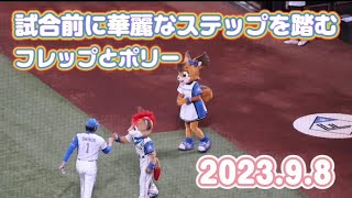 【プロ野球球団マスコット】2023.9.8  試合前に華麗なステップを踏むフレップとポリー♡  【動きが完璧】