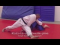 judo bja 1st kyu brown belt requirements