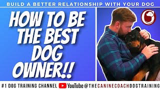 How to be the best dog owner