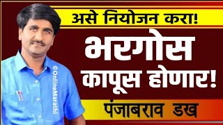 असे करा कापूस पिकाचे नियोजन?हवामान अभ्यासक पंजाबराव डख|Panjab Dakh Latest Video