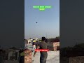 best sound in the world kite flying⭐️ kite kites kiteflying patang youtubeshorts viral shorts