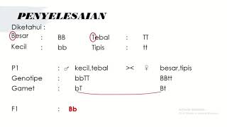 CONTOH SOAL PERSILANGAN DIHIBRID