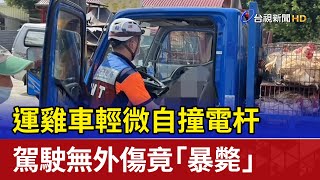 離奇！運雞車輕微自撞電杆 駕駛無外傷竟「暴斃」